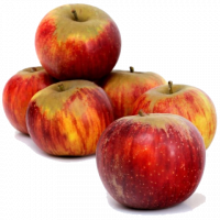 Pommes reinettes de...